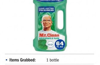 Mr. Clean Liquid Cleaner
